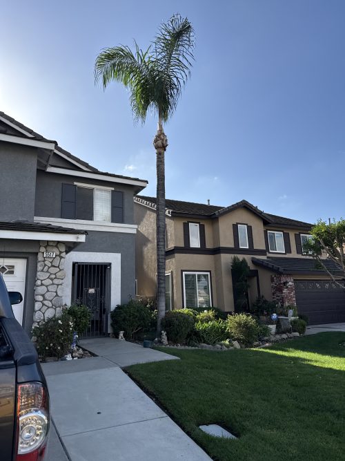 kevins tree service bloomington ca 2026 01 21T22 06 37.133415Z 64552