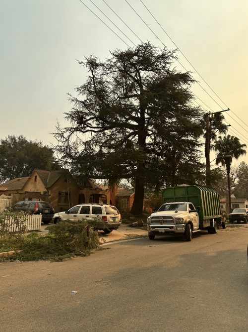 kevins tree service bloomington ca 2026 01 21T22 06 37.388494Z 85777