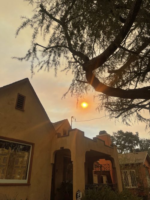 kevins tree service bloomington ca 2026 01 21T22 06 37.604708Z 37026