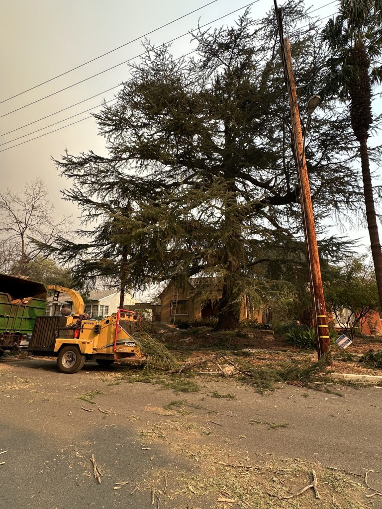 kevins tree service bloomington ca 2026 01 21T22 06 37.625161Z 74826